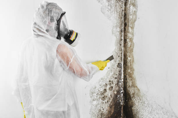 Water damage restoration mold remediation in Skidmore, TX