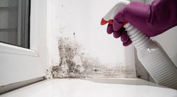 Reliable Skidmore, TX Water damage restoration Solutions